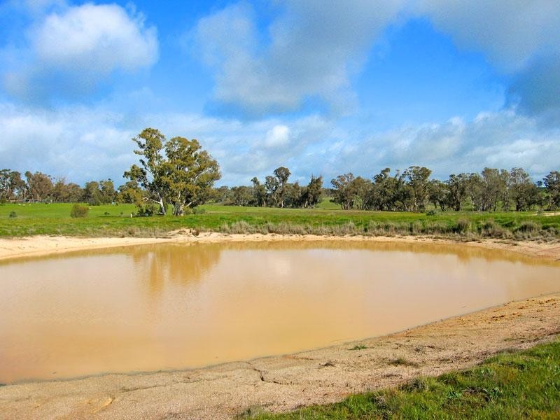Lot 55 Wild Cherry Road, Lockwood South VIC 3551