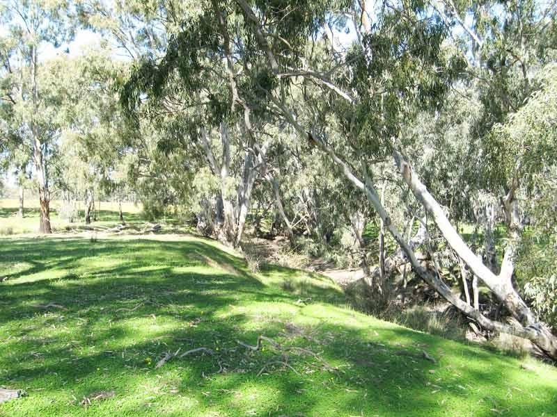 Longlea VIC 3551