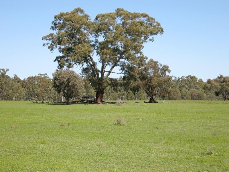Longlea VIC 3551