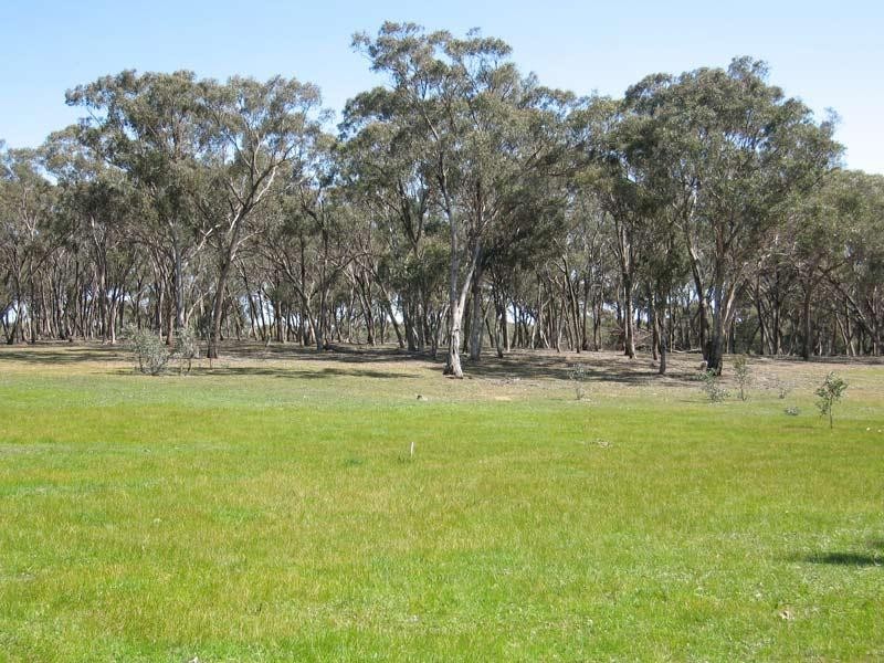 Longlea VIC 3551