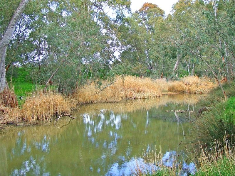 11 William Street, Axedale VIC 3551