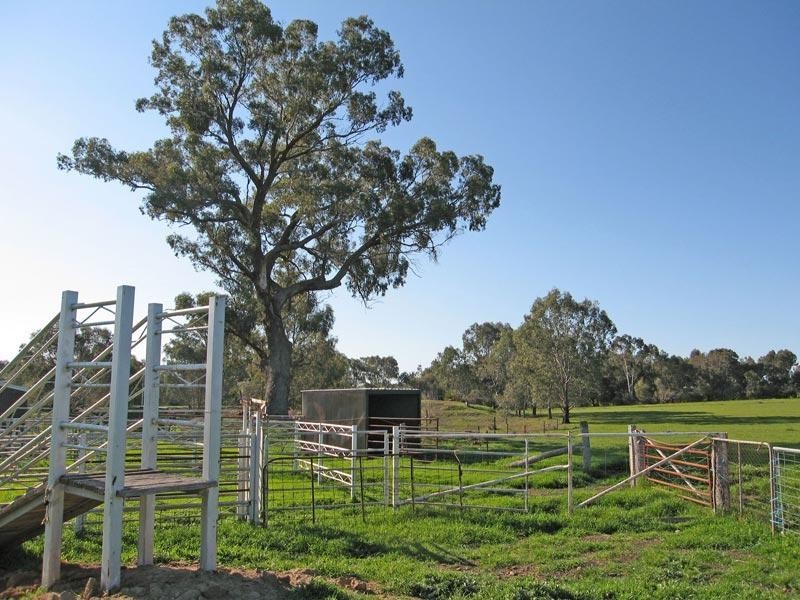 338 Bradford Road, Lockwood VIC 3551