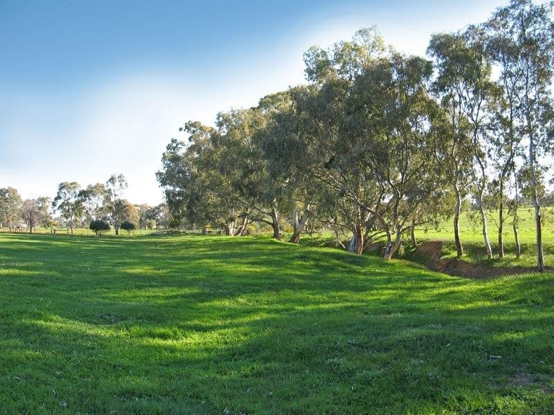 338 Bradford Road, Lockwood VIC 3551