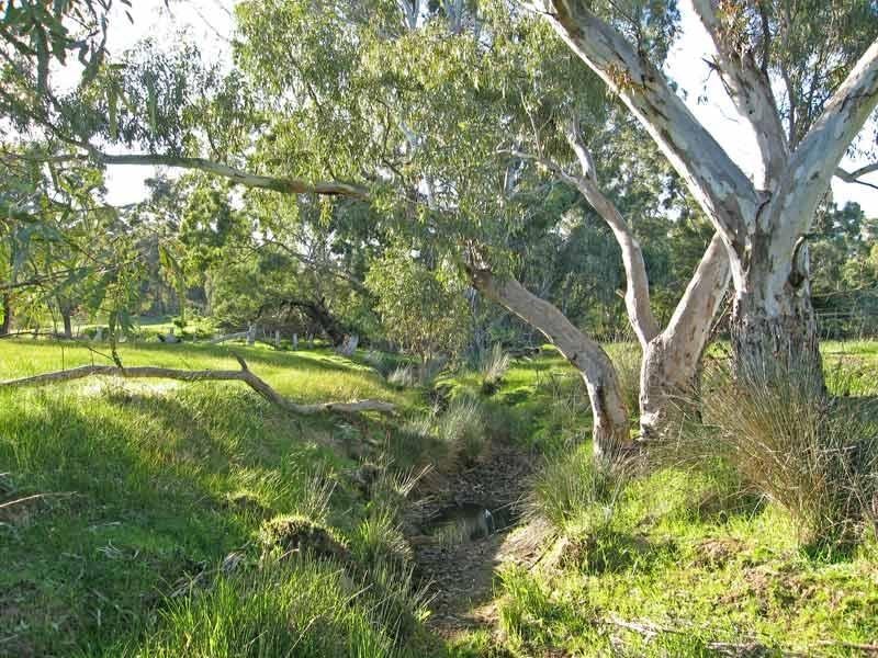Lot 42 Mandurang South Road, Mandurang South VIC 3551