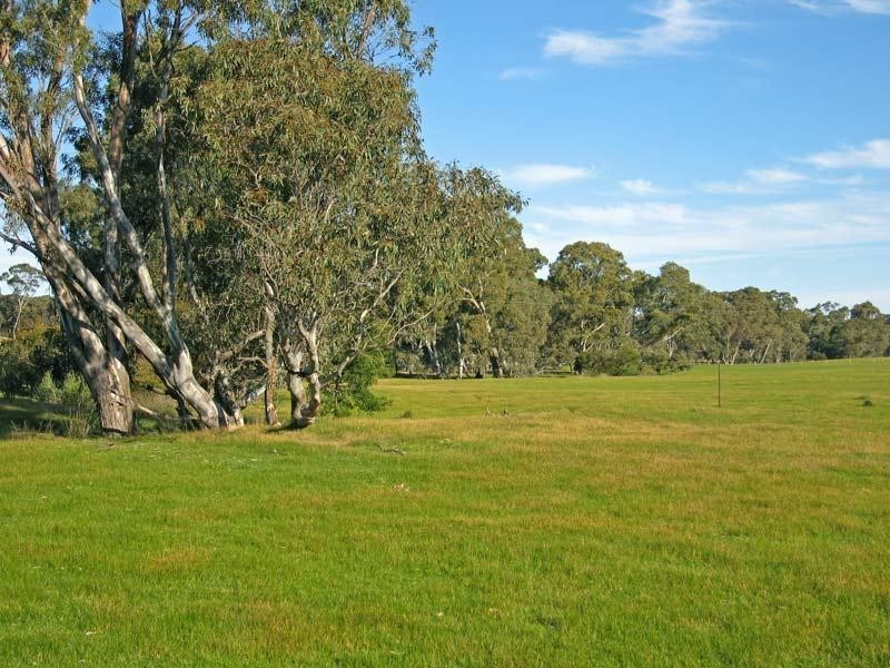 Lot 42 Mandurang South Road, Mandurang South VIC 3551