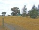 139 Peatlings Road, Huntly North VIC 3551