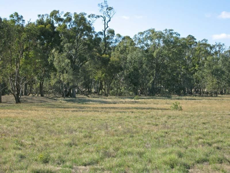40 Gunyah Lane, Goornong VIC 3557