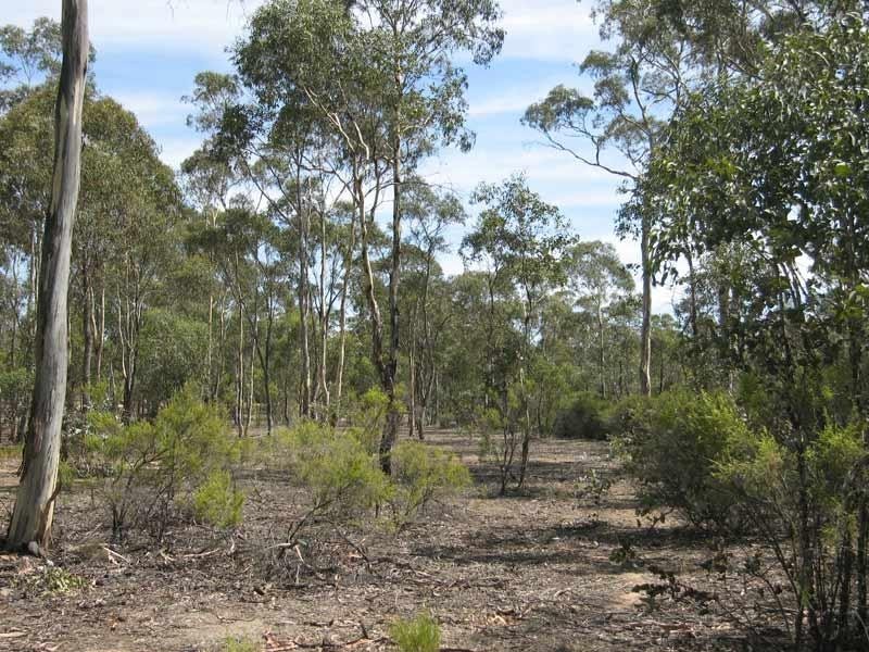 Lot 1/119 Sinclairs Road, Strathfieldsaye VIC 3551