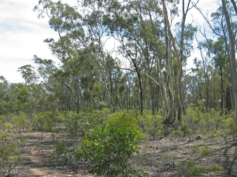 Lot 1/119 Sinclairs Road, Strathfieldsaye VIC 3551