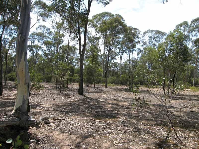 Lot 1/119 Sinclairs Road, Strathfieldsaye VIC 3551