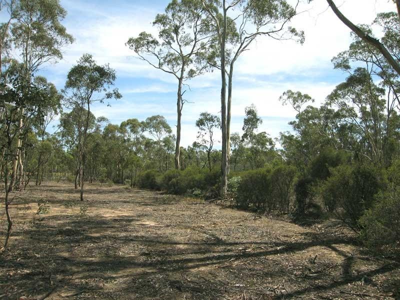 Lot 1/119 Sinclairs Road, Strathfieldsaye VIC 3551