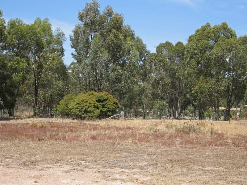 Lot 1/119 Sinclairs Road, Strathfieldsaye VIC 3551