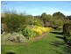 55 Bendigo Retirement Village, Spring Gully VIC 3550
