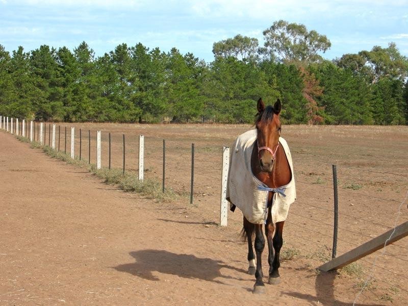 5 Englishs Road, Goornong VIC 3557