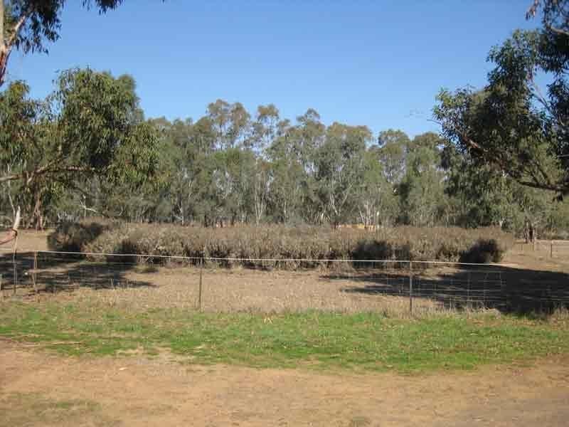 1796 Midland Highway, Bagshot VIC 3551