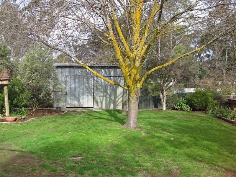 9 Popes Road, Junortoun VIC 3551