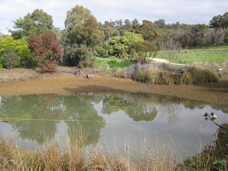 93 Gaaschs Road, Harcourt VIC 3453