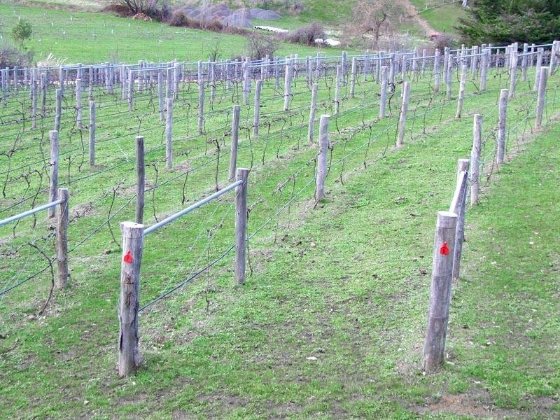 93 Gaaschs Road, Harcourt VIC 3453