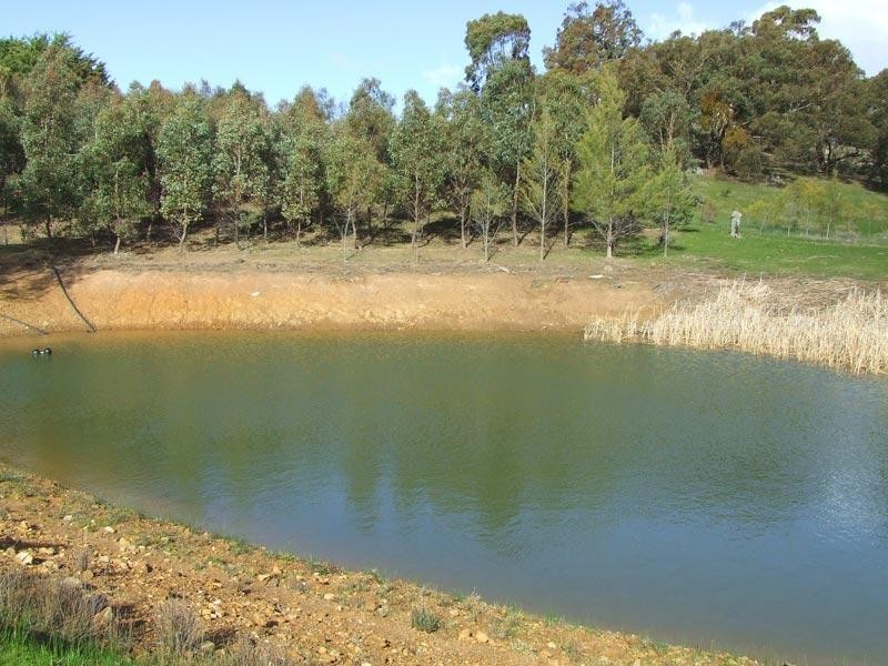 93 Gaaschs Road, Harcourt VIC 3453