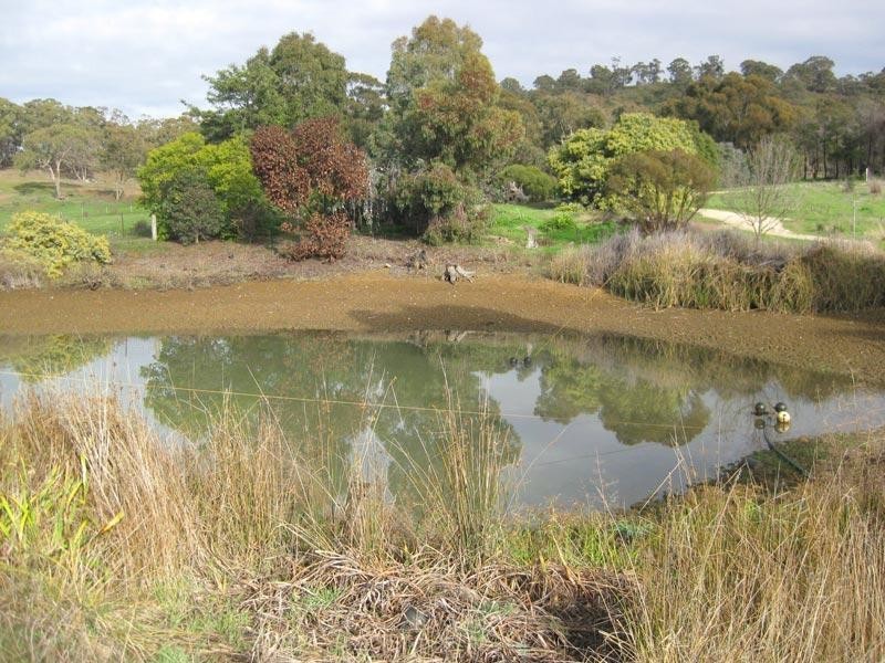 93 Gaaschs Road, Harcourt VIC 3453