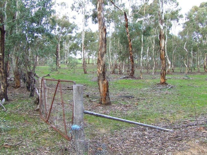 35 Taylors Road, Rheola VIC 3517