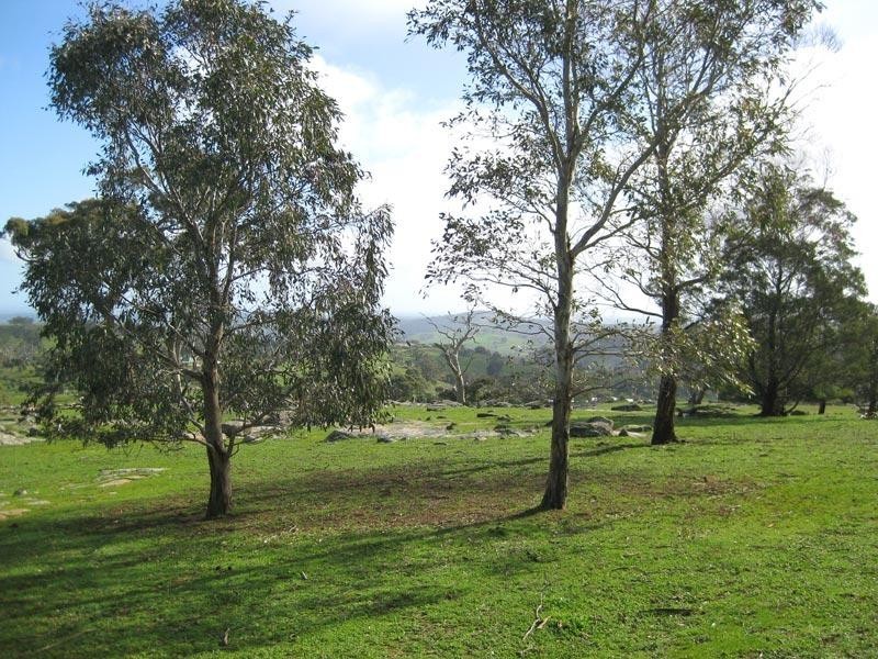Lot 2 Ford Road, Harcourt North VIC 3453