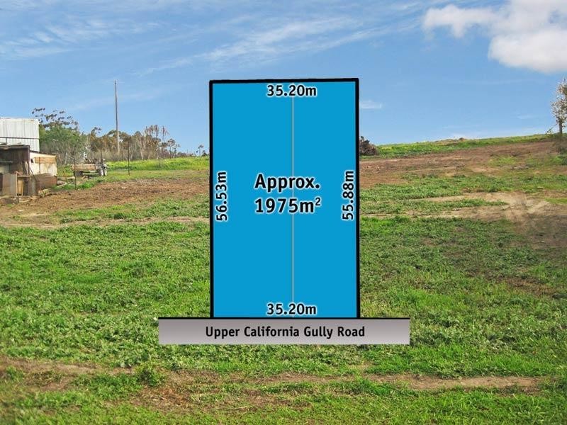 167 Upper California Gully Road, California Gully VIC 3556