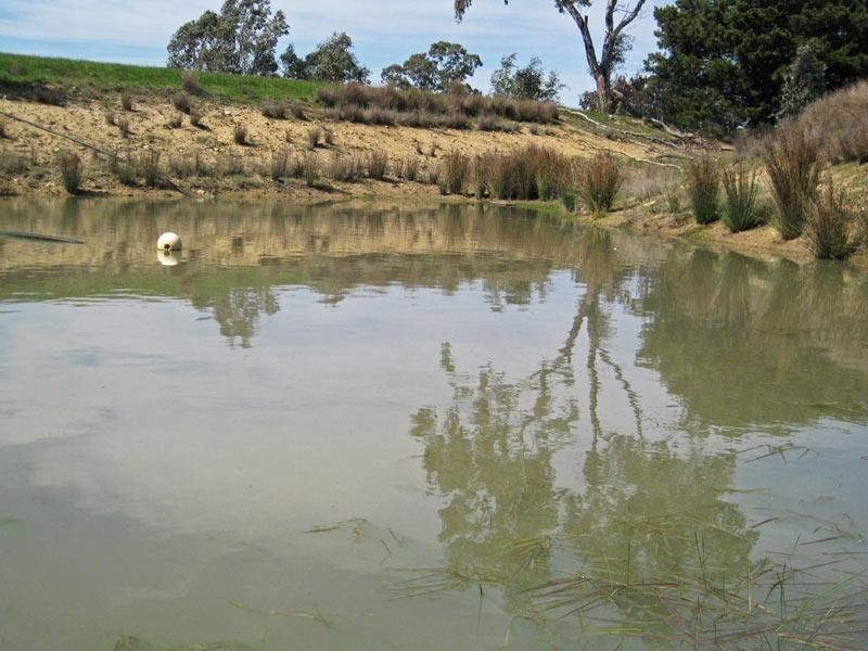 Castlemaine VIC 3450