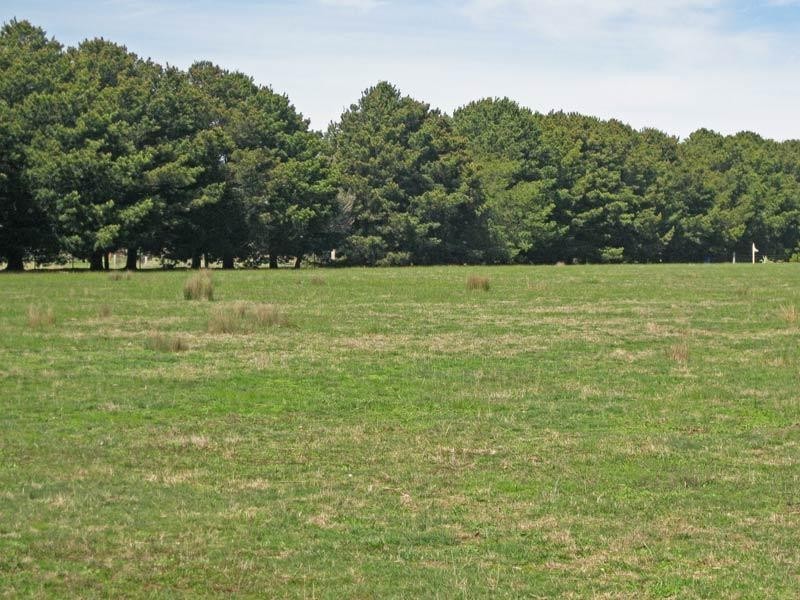 Castlemaine VIC 3450