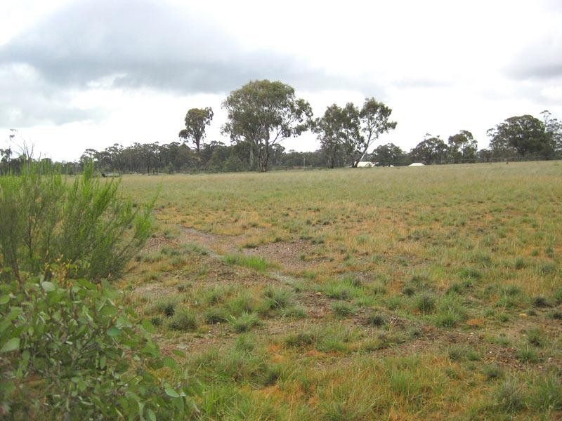 1805 McIvor Highway, Longlea VIC 3551