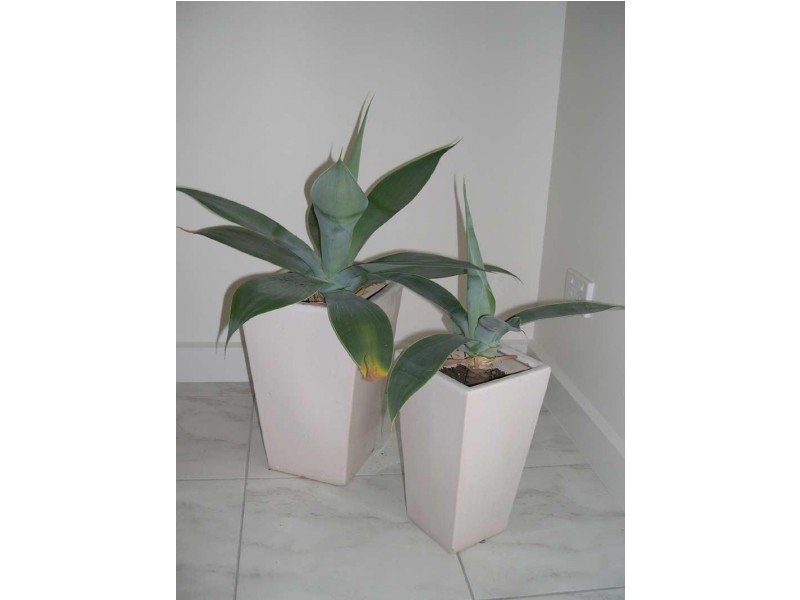 5 a The Gums Court,, Kangaroo Flat VIC 3555