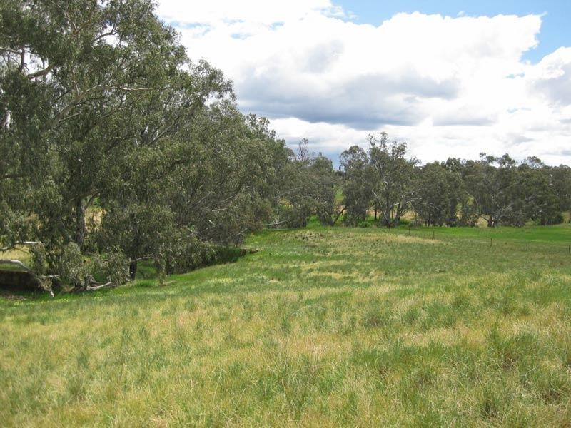Lot 9 Axedale Kimbolton Road, Axedale VIC 3551