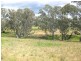 Lot 9 Axedale Kimbolton Road, Axedale VIC 3551