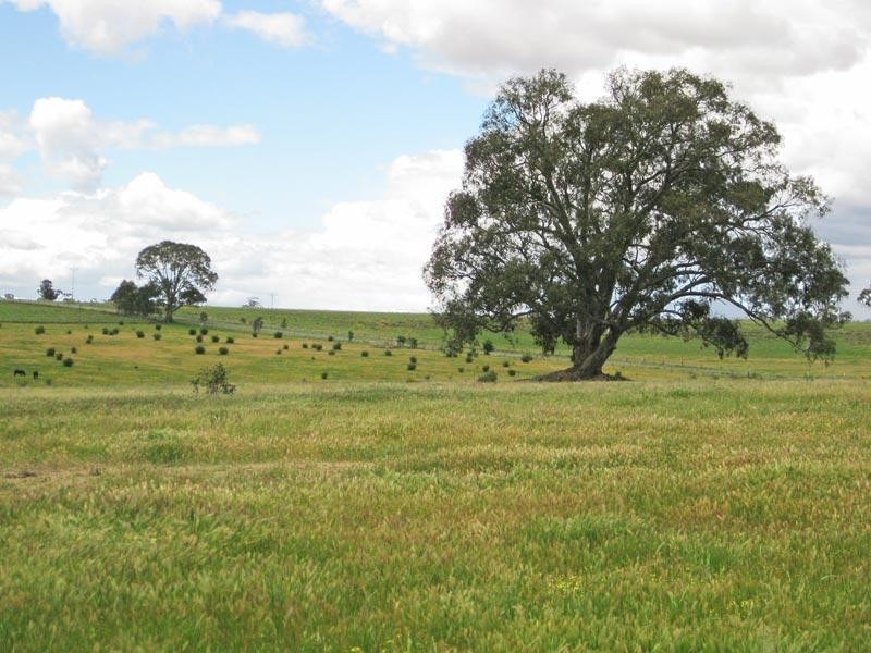 Lot 9 Axedale Kimbolton Road, Axedale VIC 3551