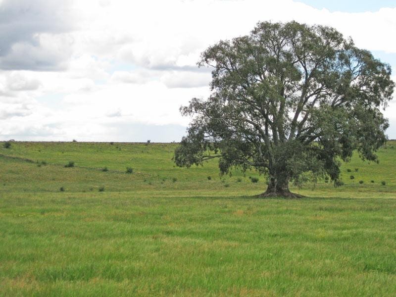 Lot 9 Axedale Kimbolton Road, Axedale VIC 3551