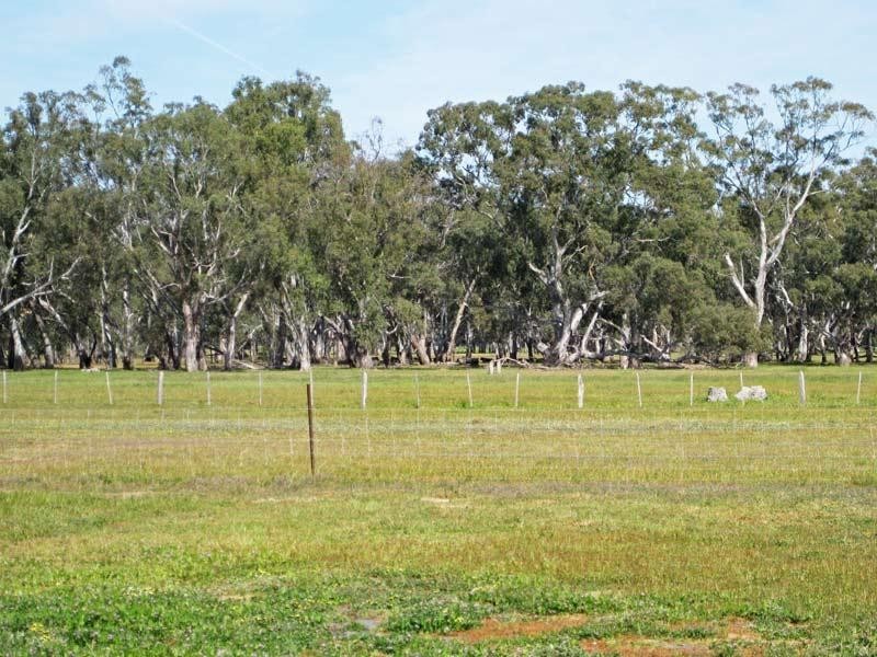 61 Grisold Road, Laanecoorie VIC 3463