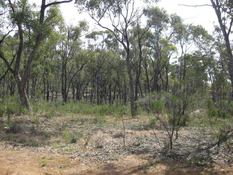 117 Native Gully Crescent, Strathfieldsaye VIC 3551