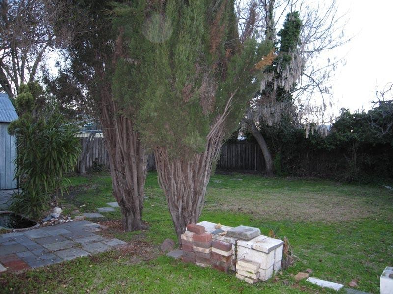 7 Honeysuckle Street, Bendigo VIC 3550