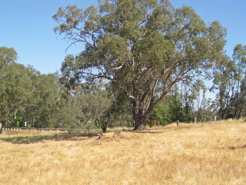 135 High Street, Axedale VIC 3551