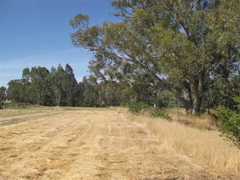 135 High Street, Axedale VIC 3551