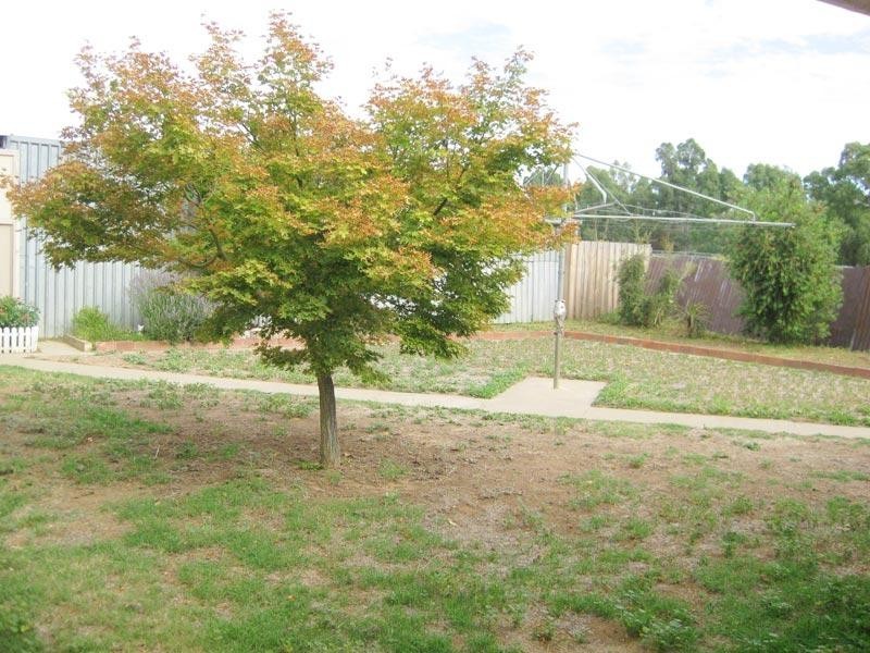 24 Fifth Avenue, White Hills VIC 3550