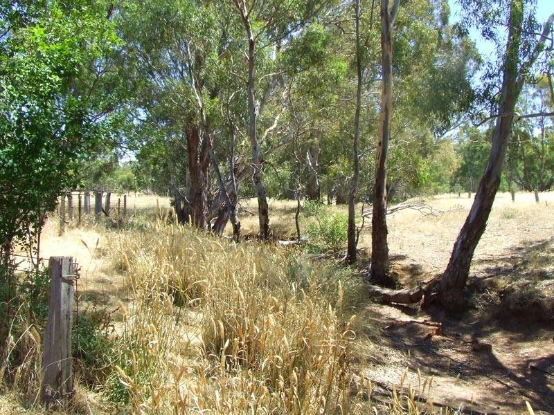 426 Calder Highway, Wedderburn VIC 3518