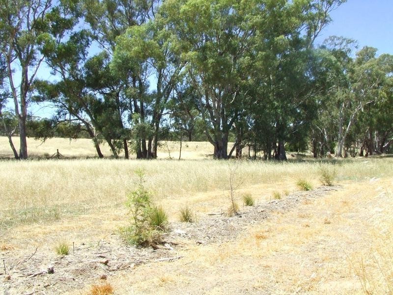 426 Calder Highway, Wedderburn VIC 3518