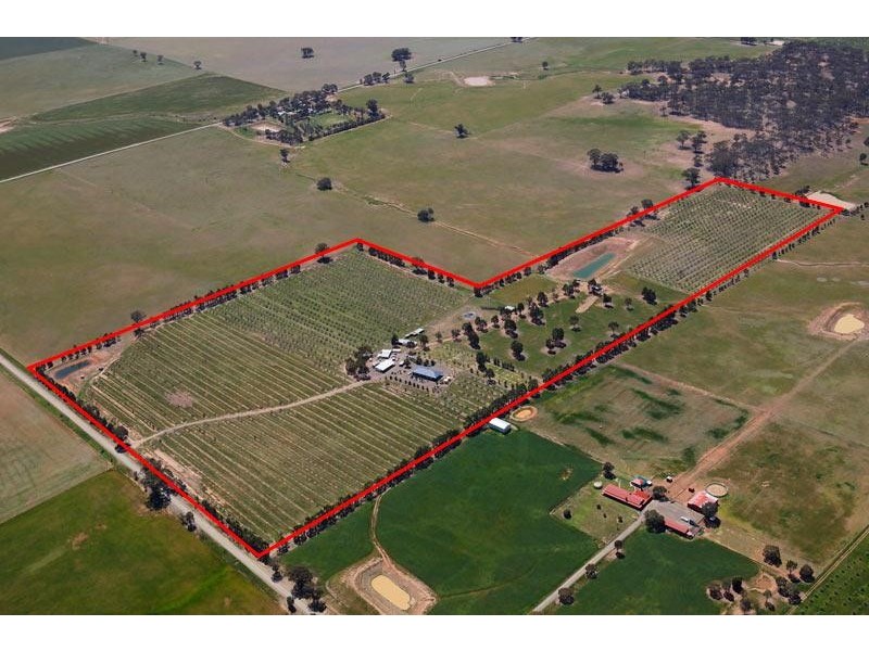 260 Neivandts Road, Shelbourne VIC 3463