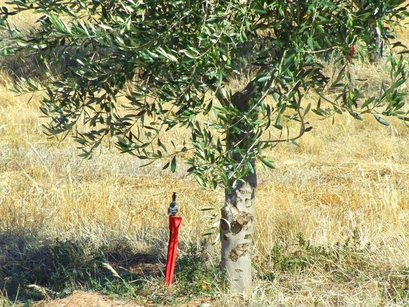 260 Neivandts Road, Shelbourne VIC 3463