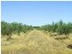 260 Neivandts Road, Shelbourne VIC 3463