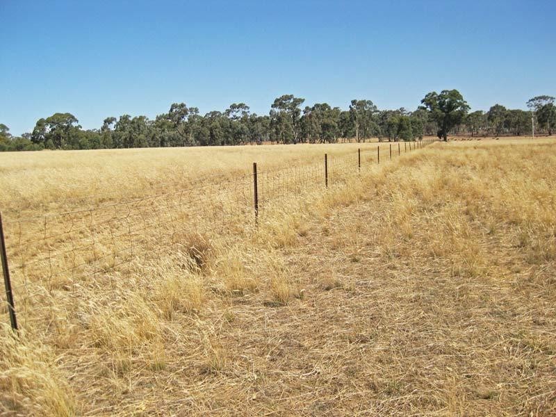 51 Bradford Road, Lockwood VIC 3551