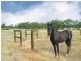 Lot 2 Wiegards Road, Lockwood VIC 3551