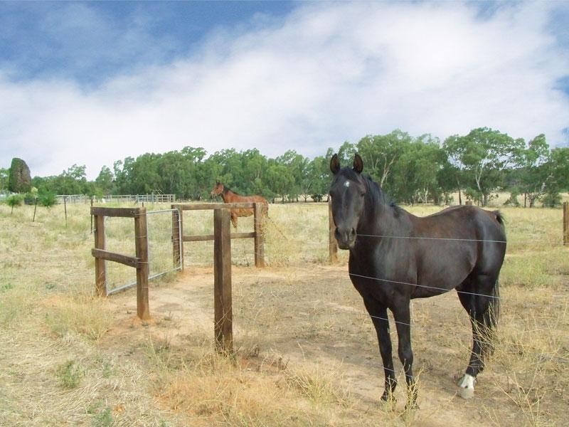 Lot 2 Wiegards Road, Lockwood VIC 3551