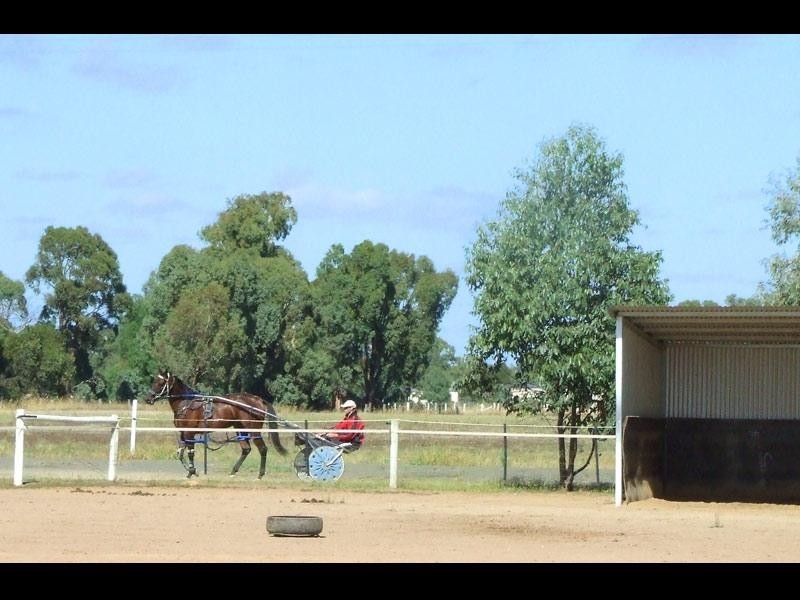 323 Old Murray Road, Huntly VIC 3551